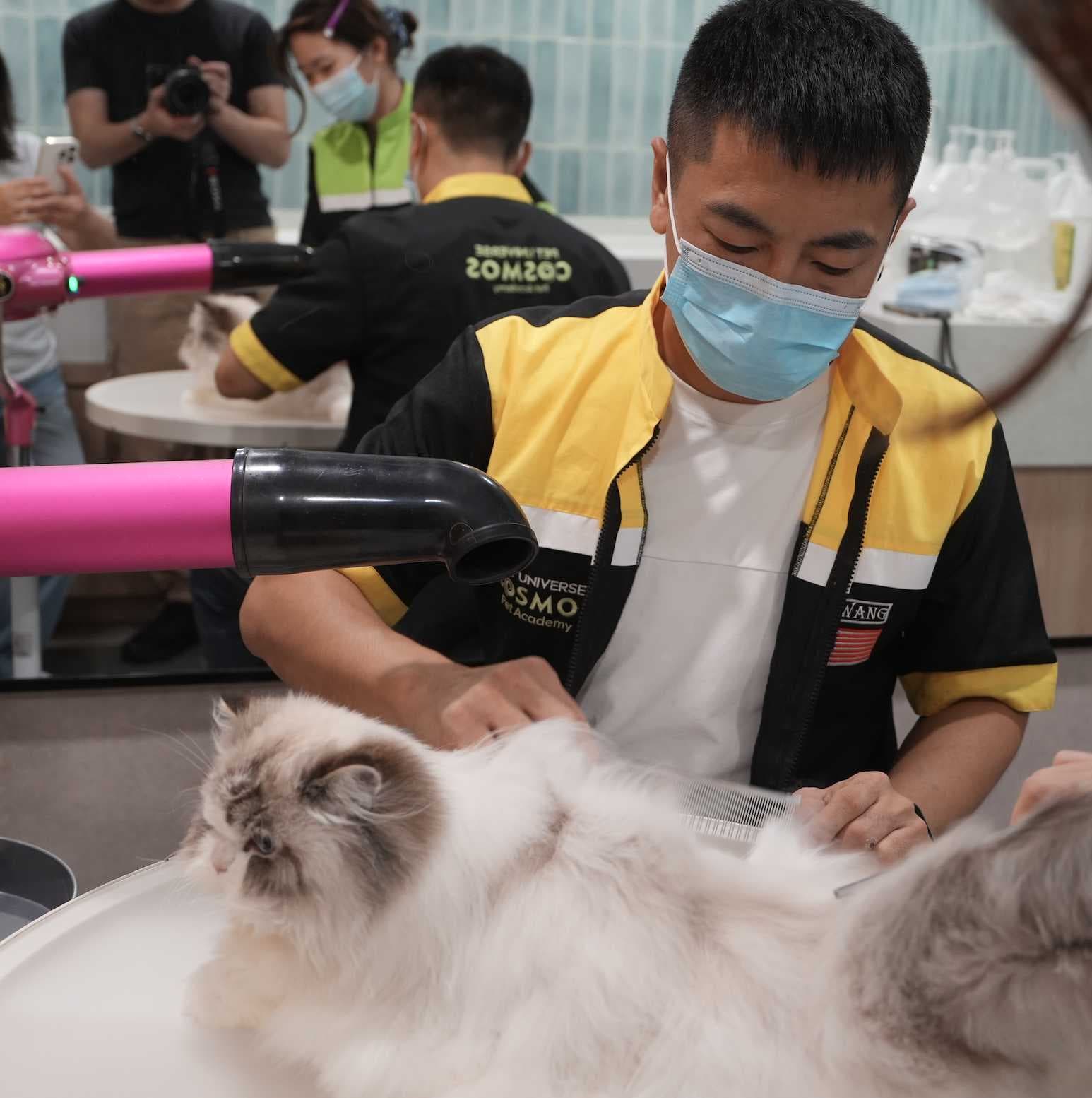Exquisite Grooming