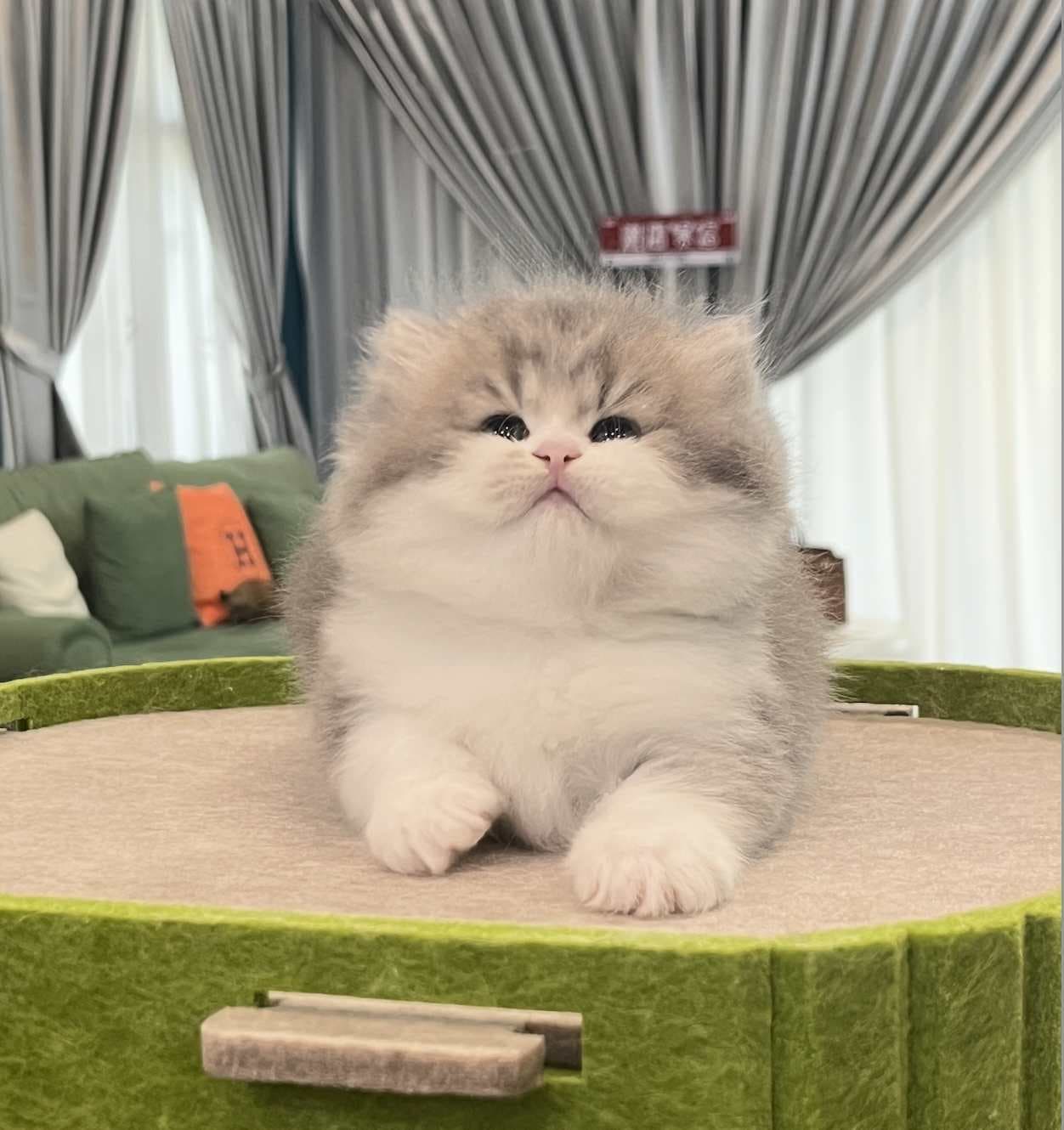 Peaceful Rest